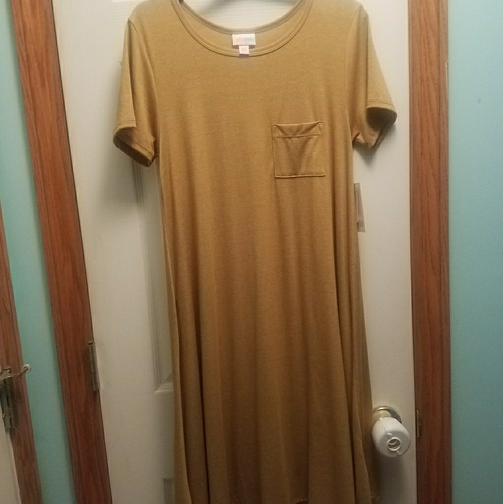 xxs Lularoe Carly with pocket
